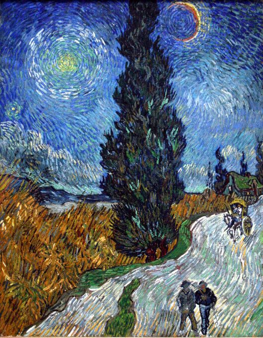 798px-van_gogh_-_country_road_in_provence_by_night